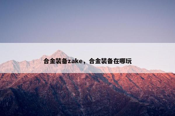 合金装备zake，合金装备在哪玩