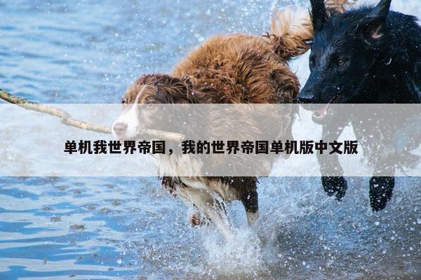 单机我世界帝国，我的世界帝国单机版中文版