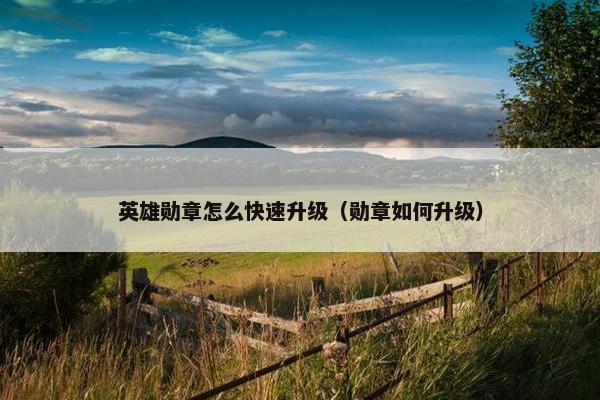 英雄勋章怎么快速升级（勋章如何升级）