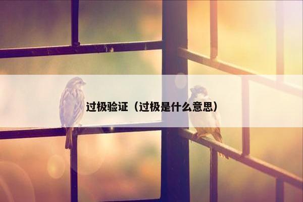 过极验证（过极是什么意思）