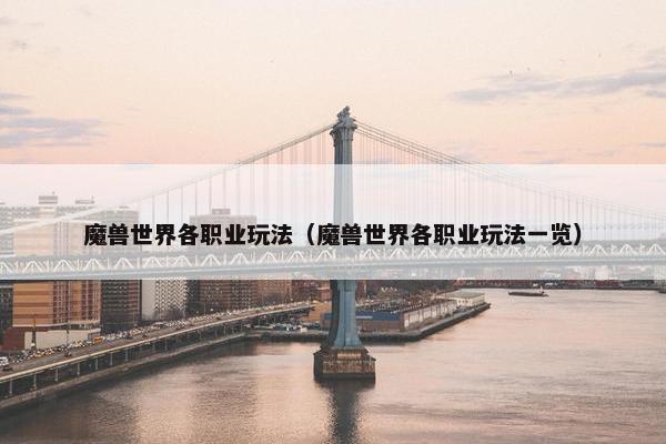 魔兽世界各职业玩法（魔兽世界各职业玩法一览）