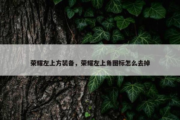 荣耀左上方装备，荣耀左上角图标怎么去掉