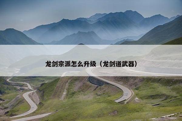 龙剑宗派怎么升级（龙剑道武器）