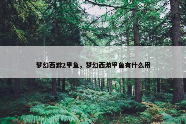 梦幻西游2甲鱼，梦幻西游甲鱼有什么用