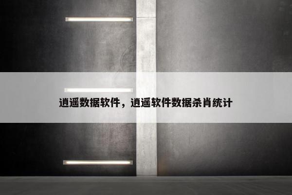 逍遥数据软件，逍遥软件数据杀肖统计