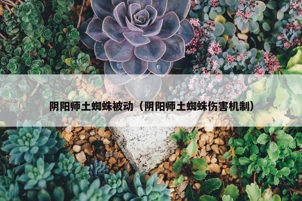 阴阳师土蜘蛛被动（阴阳师土蜘蛛伤害机制）