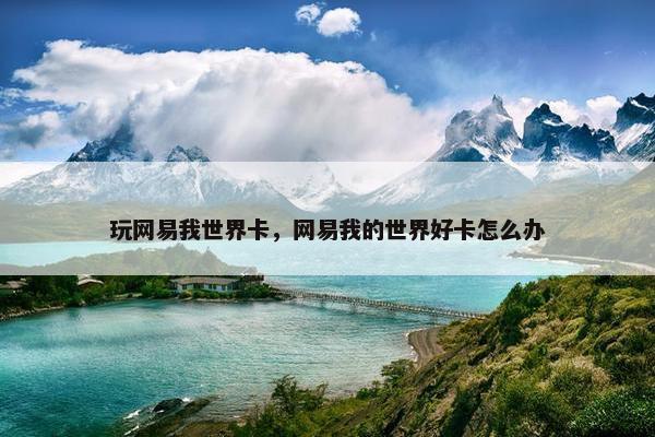 玩网易我世界卡，网易我的世界好卡怎么办