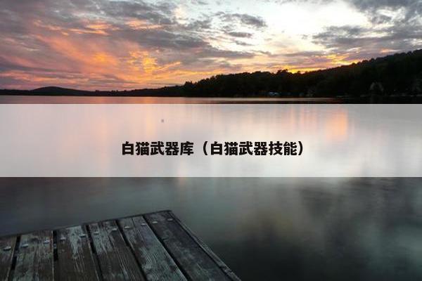 白猫武器库（白猫武器技能）