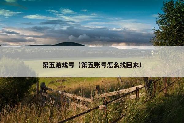 第五游戏号（第五账号怎么找回来）