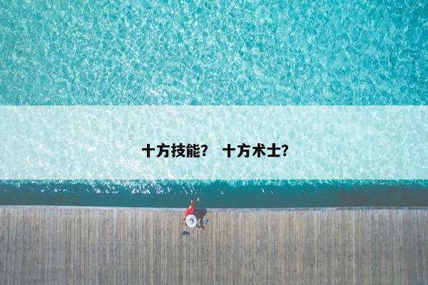 十方技能？ 十方术士？