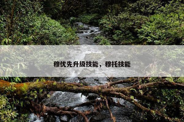 穆优先升级技能，穆托技能