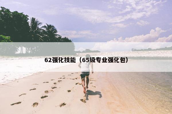 62强化技能（65级专业强化包）