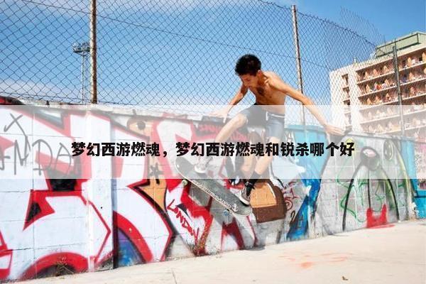 梦幻西游燃魂，梦幻西游燃魂和锐杀哪个好