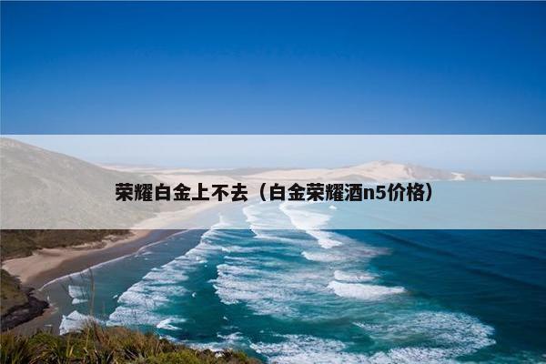 荣耀白金上不去（白金荣耀酒n5价格）