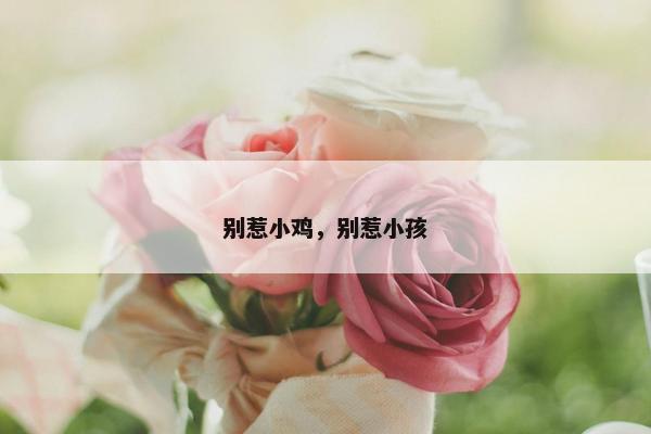 别惹小鸡，别惹小孩