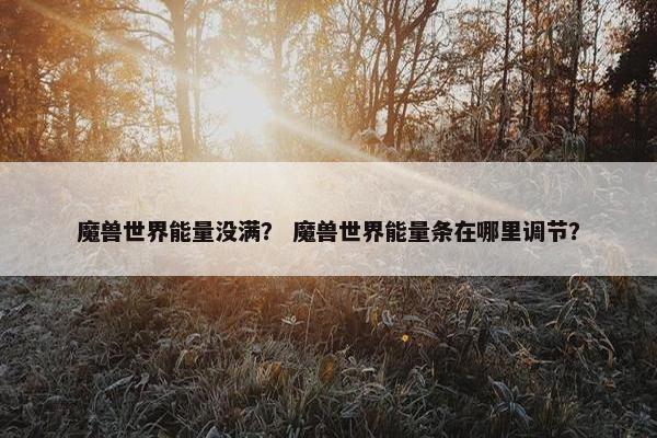 魔兽世界能量没满？ 魔兽世界能量条在哪里调节？