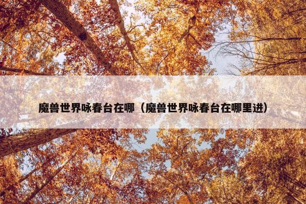 魔兽世界咏春台在哪（魔兽世界咏春台在哪里进）