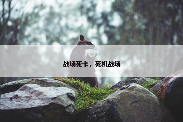 战场死卡，死机战场