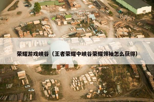 荣耀游戏峡谷（王者荣耀中峡谷荣耀领袖怎么获得）