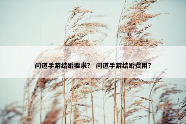 问道手游结婚要求？ 问道手游结婚费用？