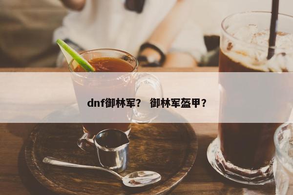 dnf御林军？ 御林军盔甲？