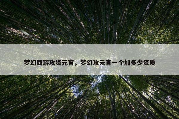 梦幻西游攻资元宵，梦幻攻元宵一个加多少资质