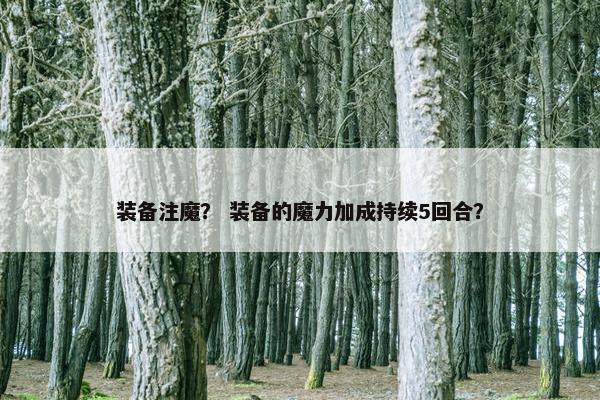 装备注魔？ 装备的魔力加成持续5回合？