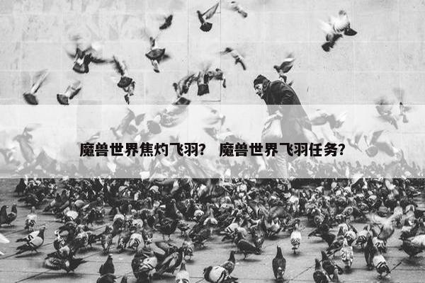 魔兽世界焦灼飞羽？ 魔兽世界飞羽任务？