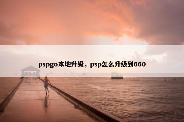 pspgo本地升级，psp怎么升级到660
