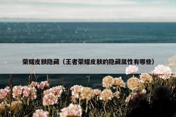荣耀皮肤隐藏（王者荣耀皮肤的隐藏属性有哪些）