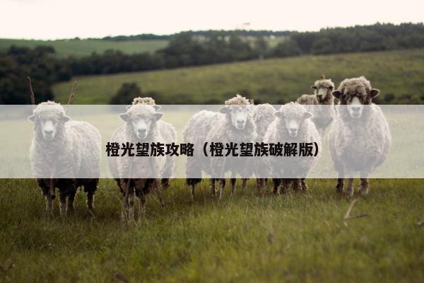 橙光望族攻略（橙光望族破解版）