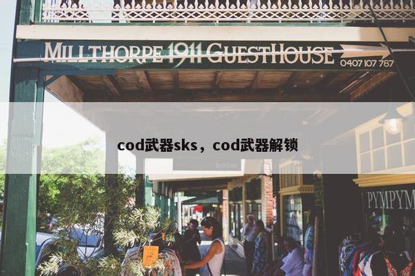 cod武器sks，cod武器解锁
