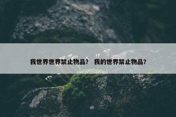 我世界世界禁止物品？ 我的世界禁止物品？