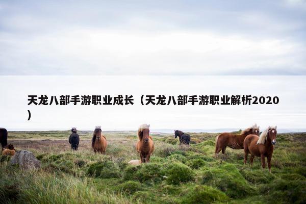 天龙八部手游职业成长（天龙八部手游职业解析2020）