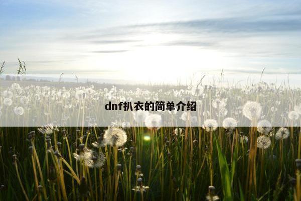 dnf扒衣的简单介绍