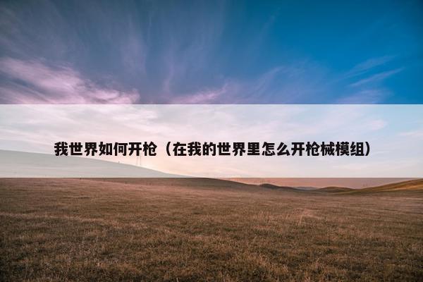 我世界如何开枪（在我的世界里怎么开枪械模组）