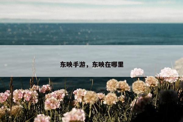 东映手游，东映在哪里