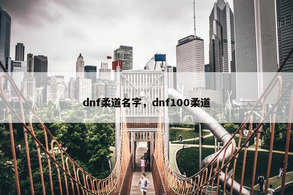 dnf柔道名字，dnf100柔道