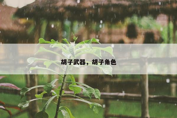胡子武器，胡子角色