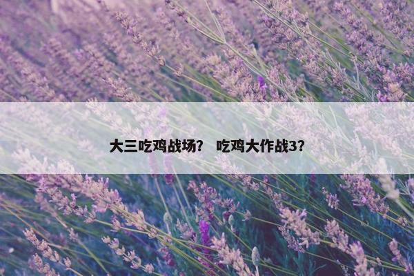 大三吃鸡战场？ 吃鸡大作战3？