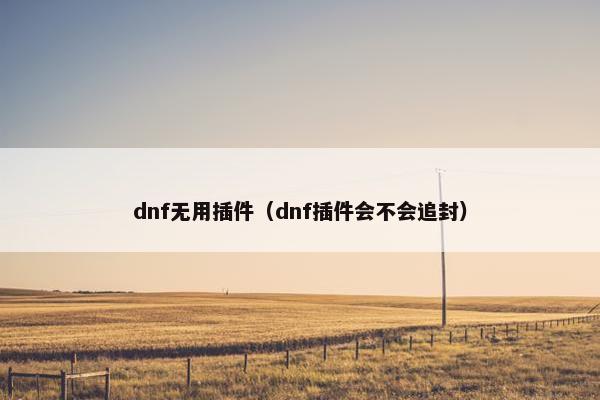 dnf无用插件（dnf插件会不会追封）