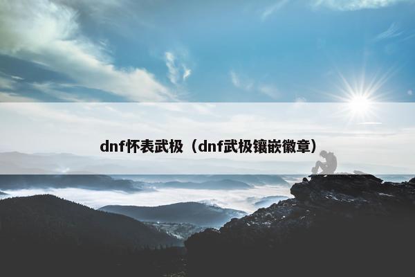 dnf怀表武极（dnf武极镶嵌徽章）