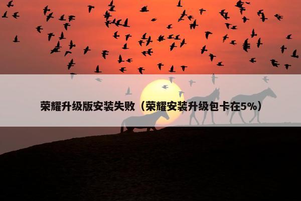 荣耀升级版安装失败（荣耀安装升级包卡在5%）