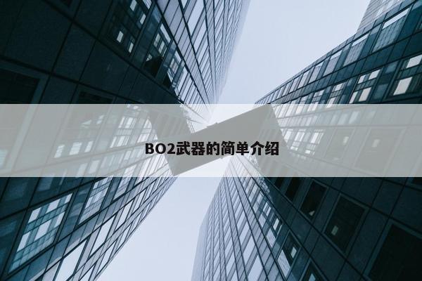 BO2武器的简单介绍