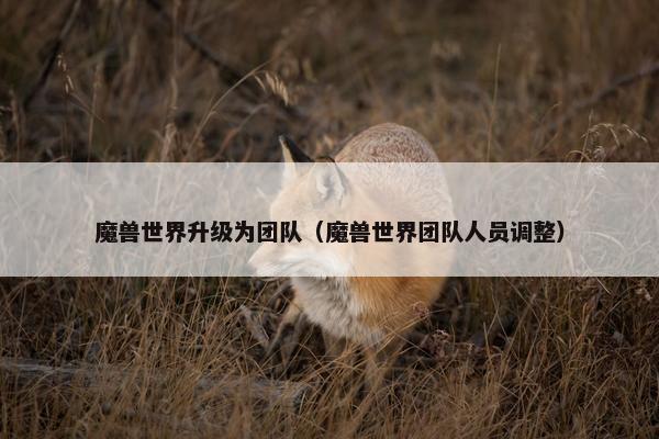 魔兽世界升级为团队（魔兽世界团队人员调整）