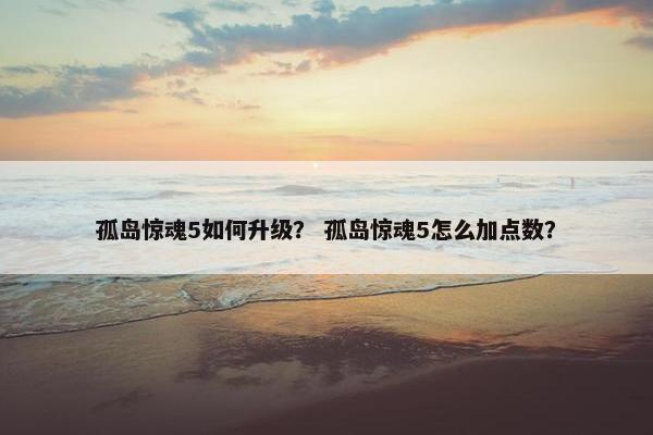 孤岛惊魂5如何升级？ 孤岛惊魂5怎么加点数？