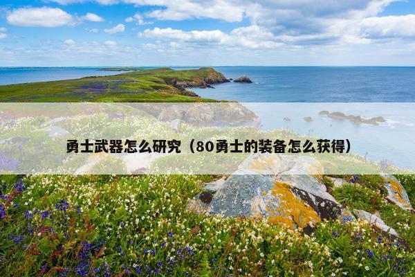 勇士武器怎么研究（80勇士的装备怎么获得）
