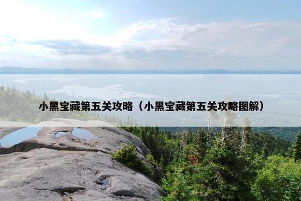 小黑宝藏第五关攻略（小黑宝藏第五关攻略图解）