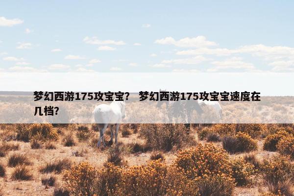 梦幻西游175攻宝宝？ 梦幻西游175攻宝宝速度在几档？