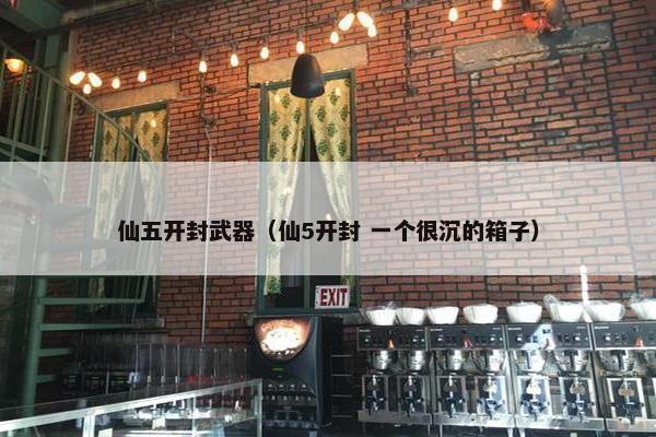 仙五开封武器（仙5开封 一个很沉的箱子）